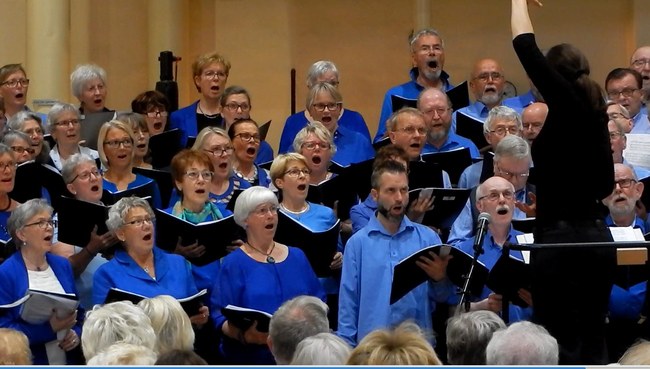 ../previews/016-02 14 Insalata.jpeg.medium.jpeg