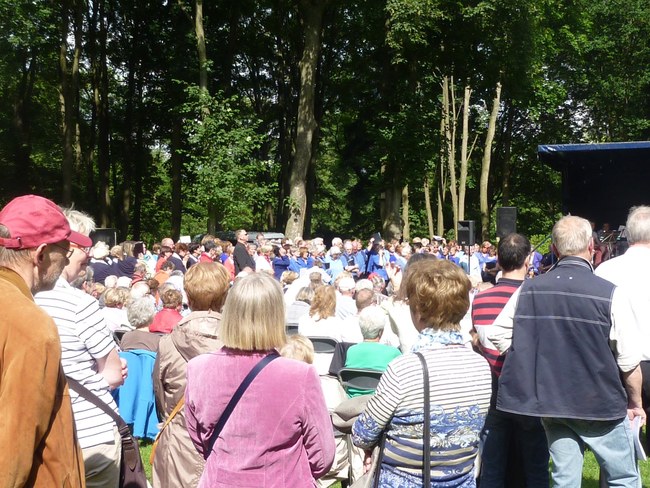 ../previews/037-SingendeGraft 07.JPG.medium.jpeg