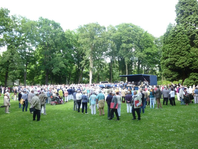 ../previews/039-SingendeGraft 09.JPG.medium.jpeg