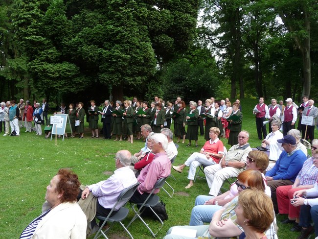 ../previews/056-SingendeGraft 26.JPG.medium.jpeg