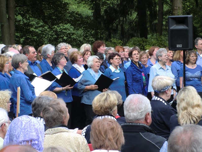 ../previews/096-SingendeGraft 66.JPG.medium.jpeg